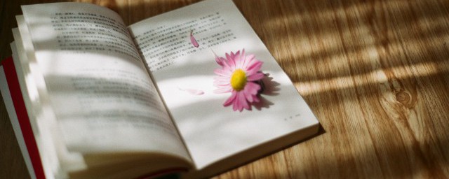 耽美校园小说有简介 公认好看的耽美小说推荐