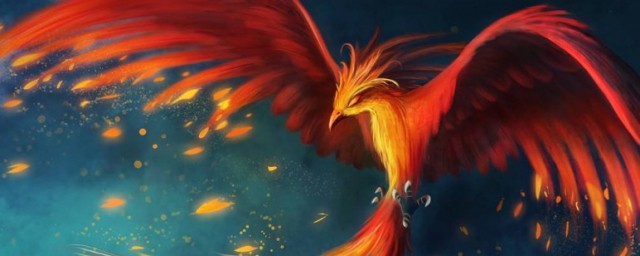 金翅鸟和凤凰的区别 金翅鸟和凤凰的区别介绍