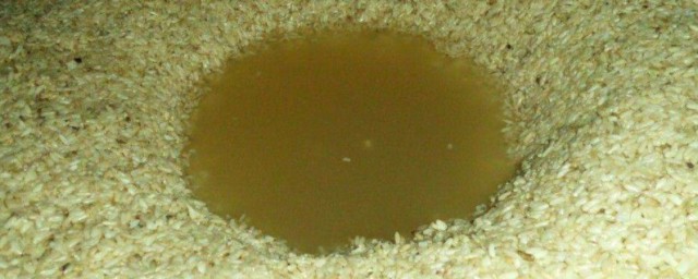 酒糟是什么 酒糟是啥