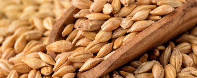 藜麦在中国叫什么名称 藜麦在中国就叫藜麦对吗