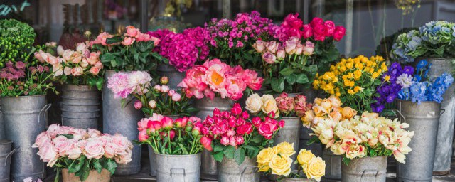 鲜花能放在冰箱里冷藏吗 鲜花能不能放冰箱冷藏