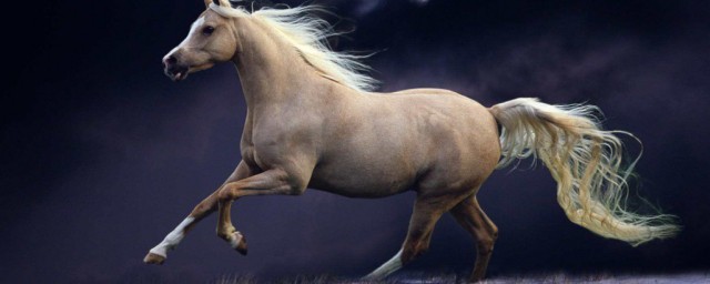 床头提刀人是指什么生肖 床头提刀人是指啥生肖