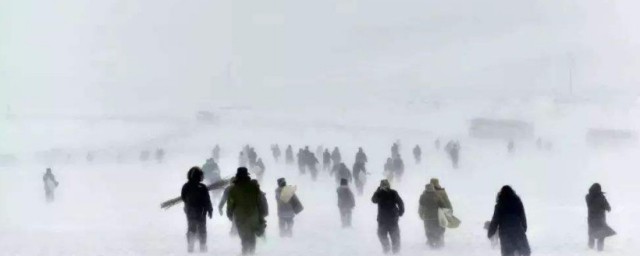 最美的青春结局 最美的青春结局是什么