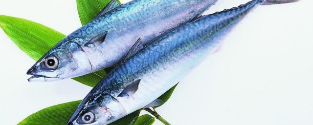 香煎鲅鱼的家常做法 如何做香煎鲅鱼