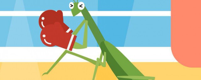 螳螂吃什么? 螳螂吃的食物介绍