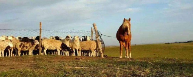 漠北是现在的哪个省份 漠北是现在的什么省份