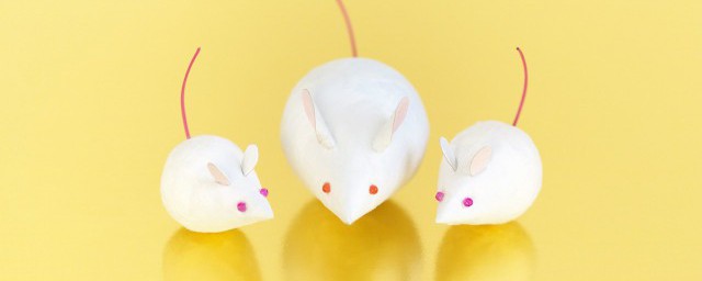 做梦梦到老鼠到处跑是什么意思 做梦梦到老鼠到处跑的意思