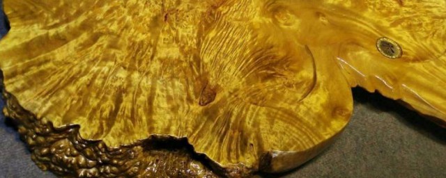 黄金樟和金丝楠的区别 如何区别黄金樟和金丝楠 黄金樟和金丝楠的区别 如何区别黄金樟和金丝楠