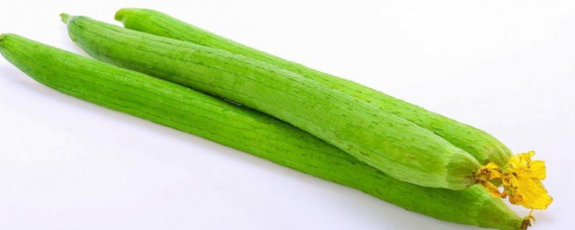 肉丝瓜和长丝瓜的区别 如何区别肉丝瓜和长丝瓜