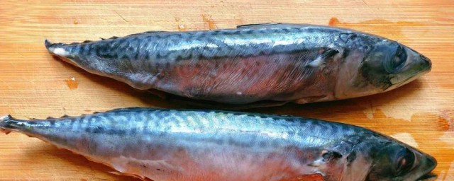 霸鱼算作什么鱼 霸鱼都算作什么鱼