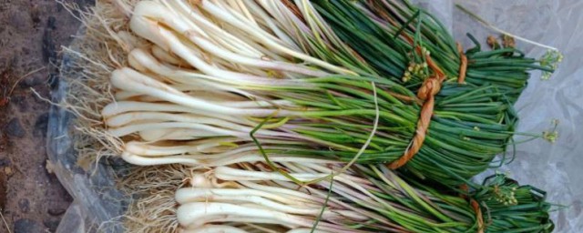 藠头的别名 藠头简单介绍