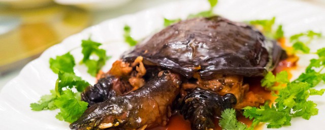 甲鱼怎么烧好吃 制作清炖甲鱼的方法