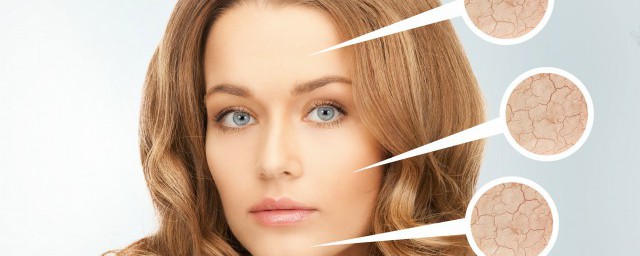 吃什么调理皮肤呢 调理皮肤的食物