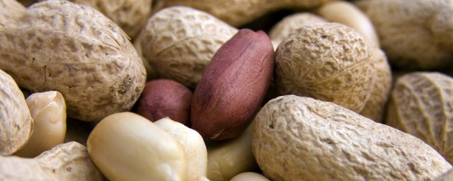 补脑增强记忆力吃什么菜 吃哪些菜补脑增强记忆力