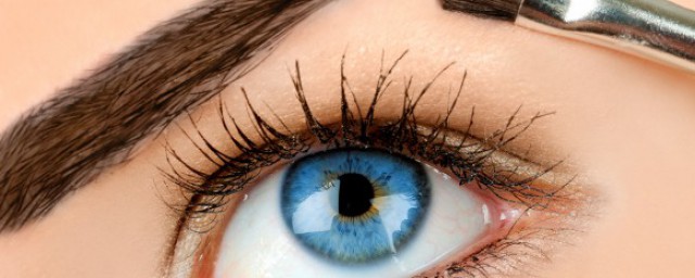 吃什么对眼睛比较好 哪些食物对眼睛好呢 吃什么对眼睛比较好 哪些食物对眼睛好呢