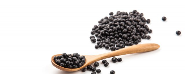 黑豆怎么打豆浆才好喝 黑豆如何打豆浆才好喝