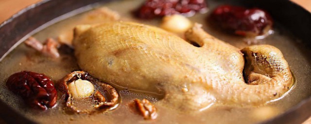 老鸽子汤的做法与功效 怎样做老鸽子汤功效是什么