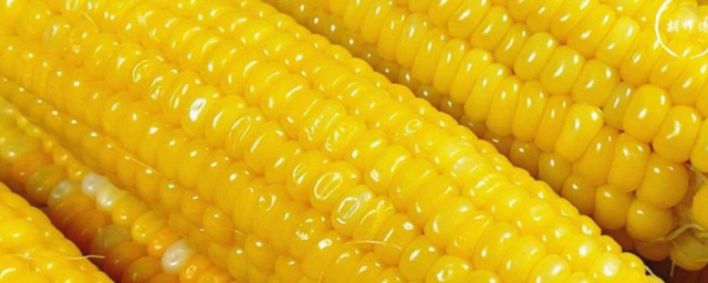 怎么剥嫩玉米 如何剥嫩玉米 怎么剥嫩玉米 如何剥嫩玉米