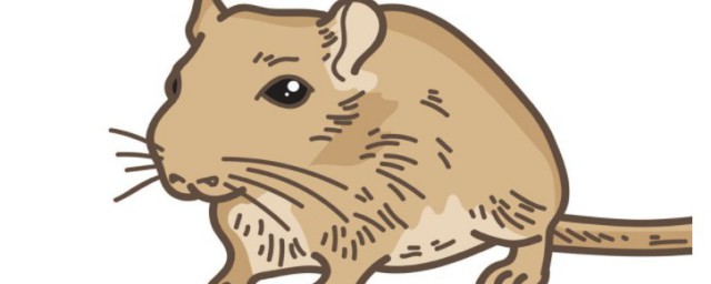 怎么快速灭鼠 快速灭鼠的方法