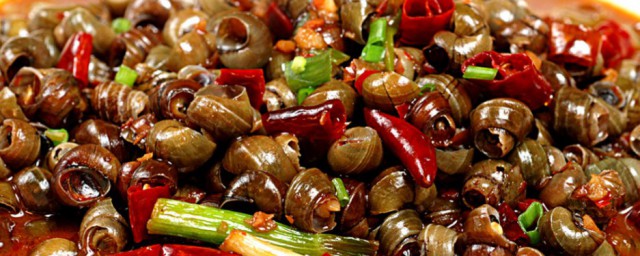 田螺怎么养才不会死 田螺如何养才不会死