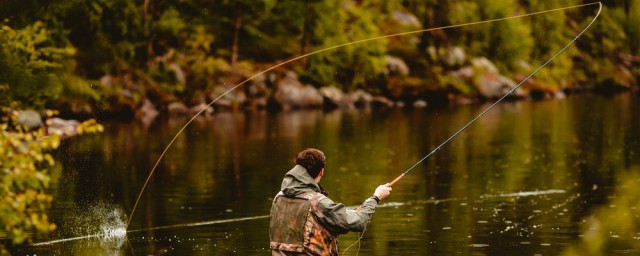 高粱桿做浮漂与南荻的区别 南荻是什么