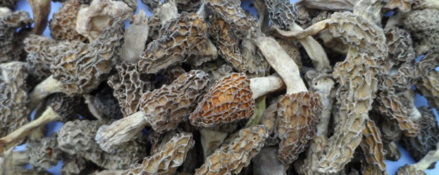 干羊肚菌怎么做好吃 干羊肚菌如何做好吃