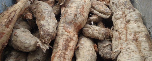 葛根粉的功效与作用及食用方法葛根粉的做法 葛根粉的功效与作用