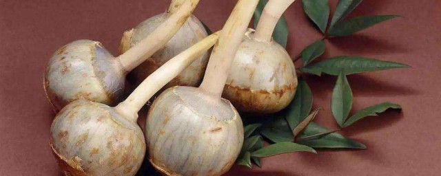 茨菇怎么炒好吃 茨菇如何炒好吃