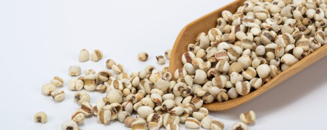 茯苓薏米黄芪一起泡水喝的功效与作用 茯苓薏米黄芪一起泡水喝的功效是什么