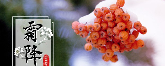 霜降风俗的来由 霜降的来历和风俗