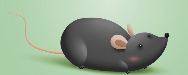 属鼠最旺的属相 属鼠最旺的属相是什么