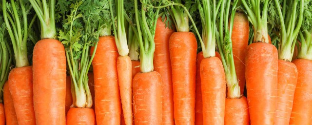 消化不好应该吃什么食物 消化不好应该吃的食物有什么