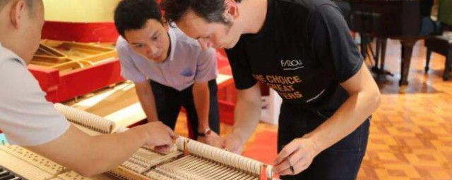 制琴专业怎么考 制琴专业如何考