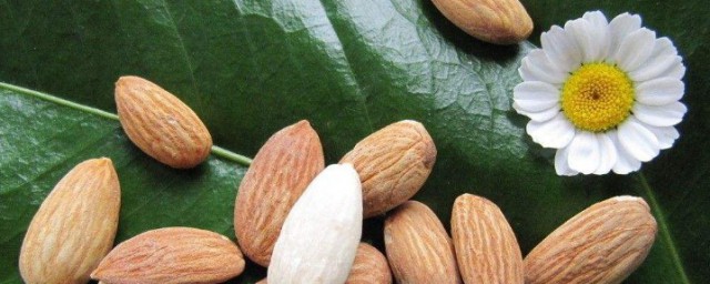 一般生吃杏仁几粒才会中毒 一般生吃杏仁多少粒才会中毒