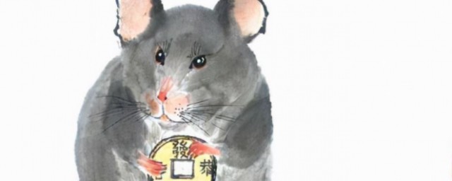 属鼠人2022年运势及运程 生肖鼠2022年的运势以及运程