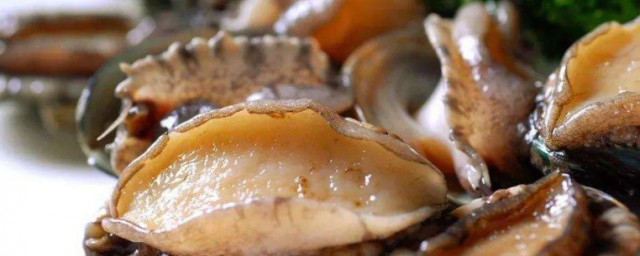 什么人不适合吃鲍鱼 如下人群不适合吃鲍鱼