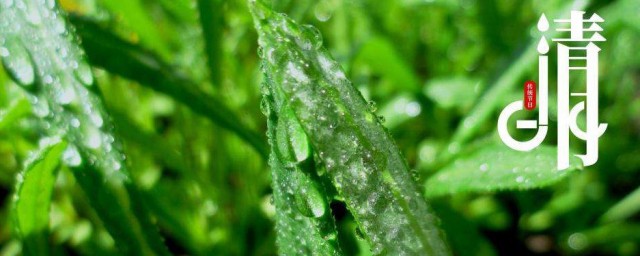 清明节的传统风俗是什么 清明节的传统风俗有哪些