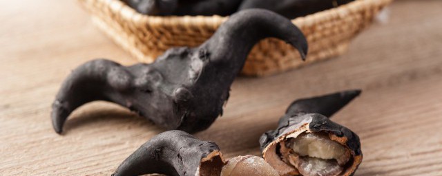 菱角什么季节成熟 菱角什么时候成熟