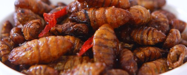 茧蛹子能冷冻吗 茧蛹能不能冷冻