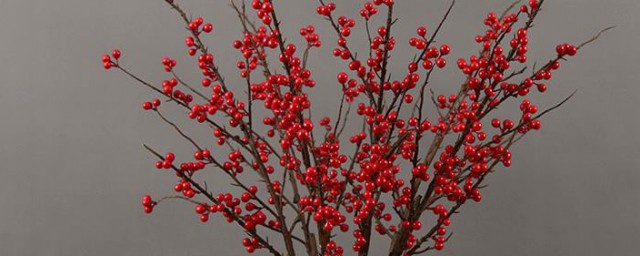 冬青怎样做干花 冬青做干花的教程