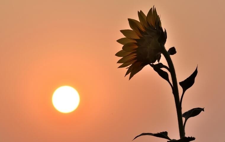 依依不舍有哪些造句