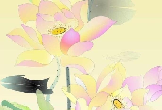 莲花的诗句有哪些