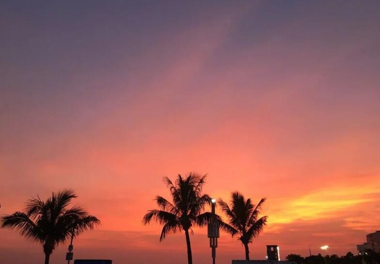 得偿所愿的诗句有哪些