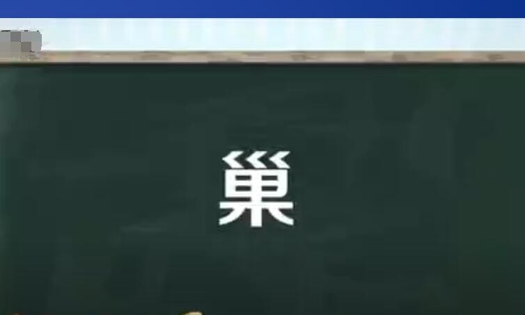 巢的组词有哪些