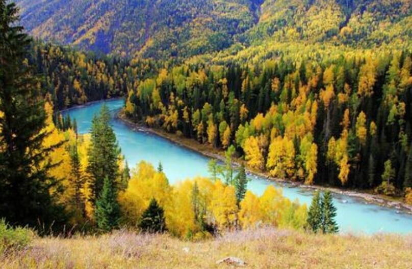 用浅尝辄止怎么造句