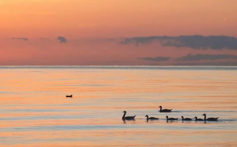 才华横溢的意思是什么