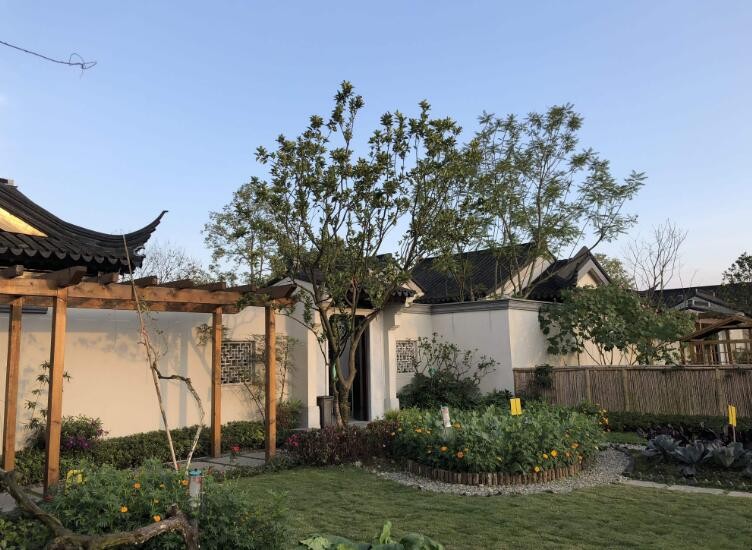 怎样能让院子没蚊子