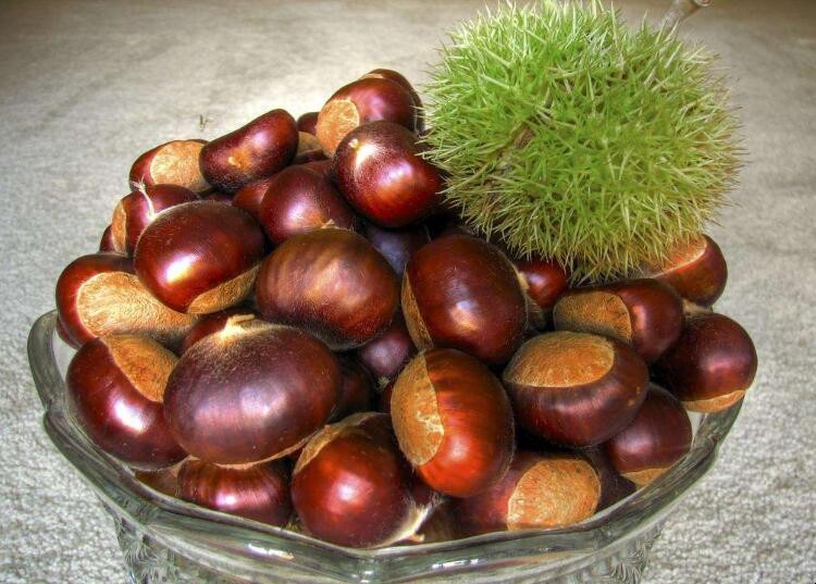 生栗子怎么去皮最快