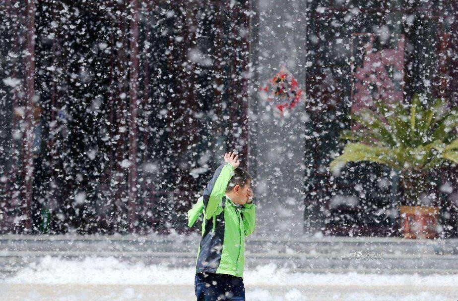 屋里柳絮怎么清理