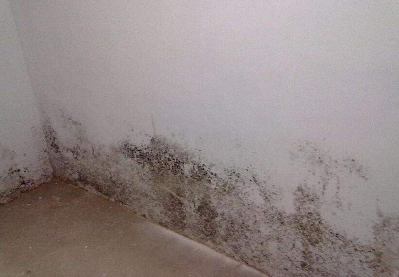 墻角发霉发潮怎么处理